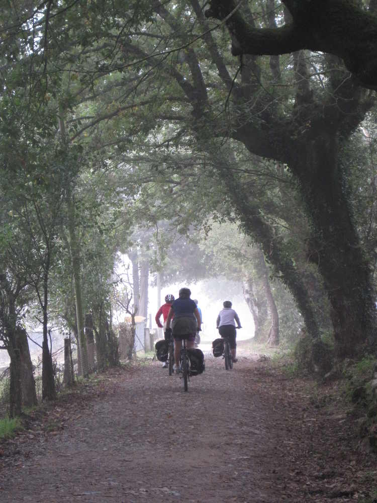 Portuguese Camino Cycling: Porto to Santiago (guided group ...